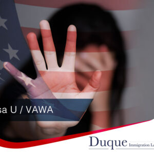 Preparación y organización VAWA